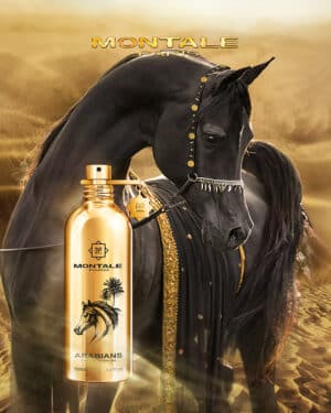arabians_1403_5000x5000 ean 3760260455770