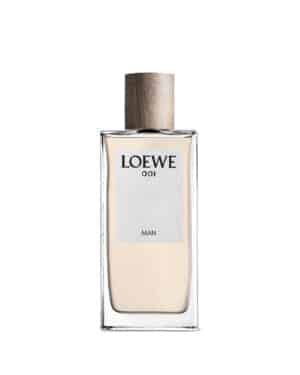 001 man 100 ml ean 8426017063104