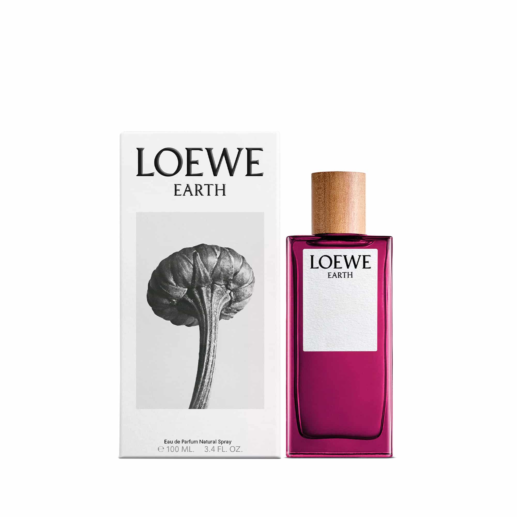 Second image of Loewe Earth EDP